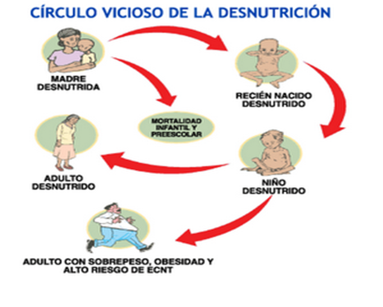 La escoliosis y los métodos de su profiláctica