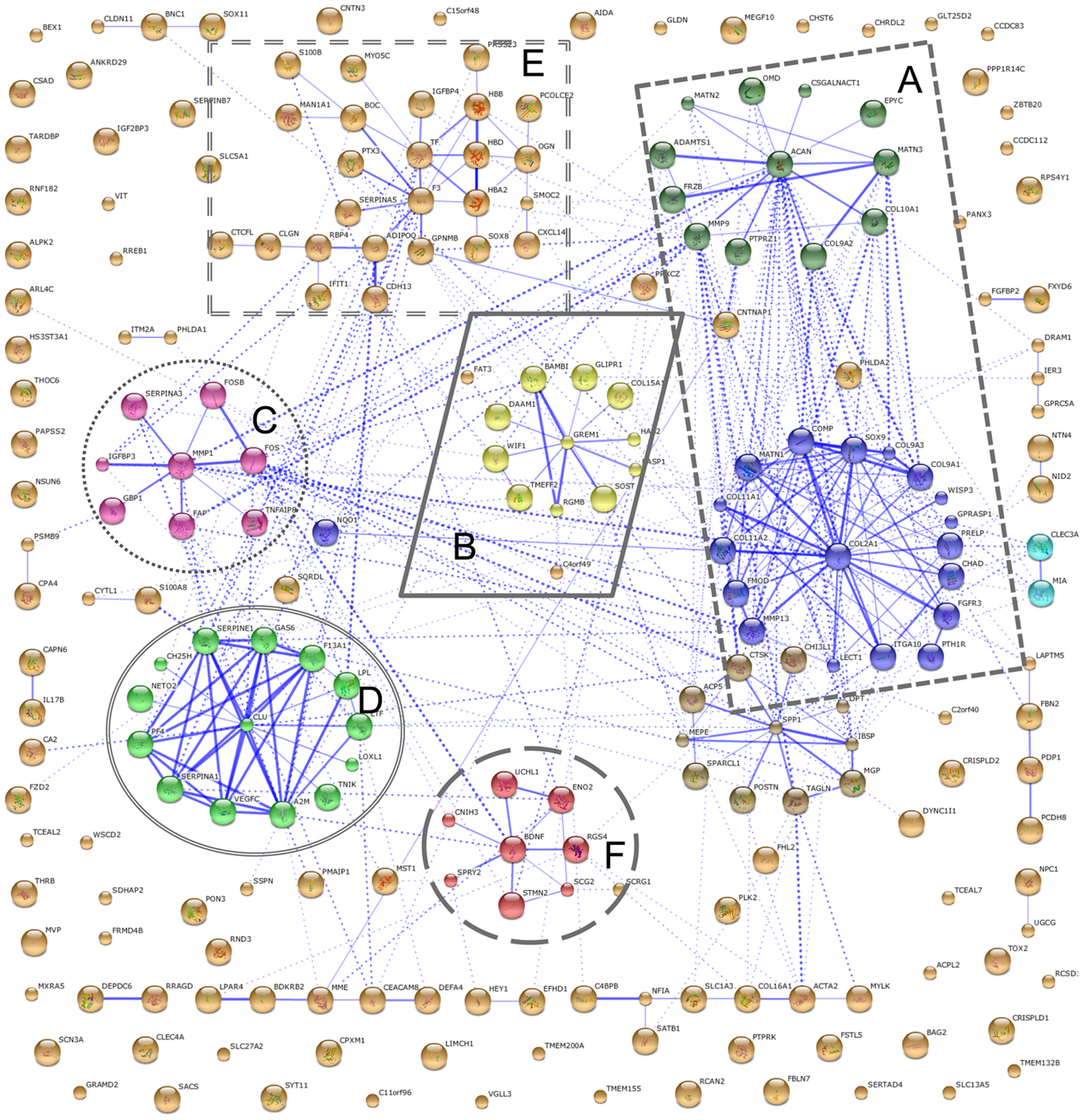 The Quest for Height Grow Taller Increase Height Bone Size Growth