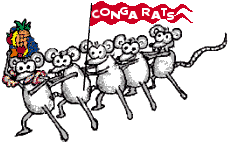 conga+rats.gif