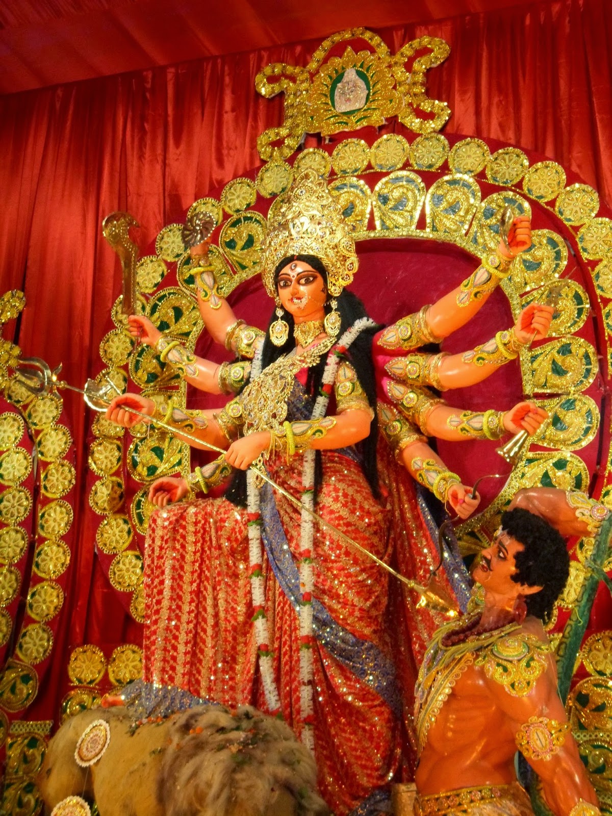 Ekdalia Evergreen 2014 Ekdalia Evergreen 2014