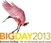 big day 2013
