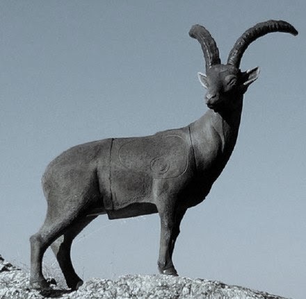 Ibex Facts