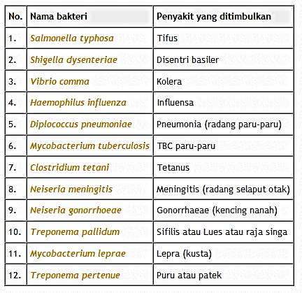 Gambar Bakteri Patogen