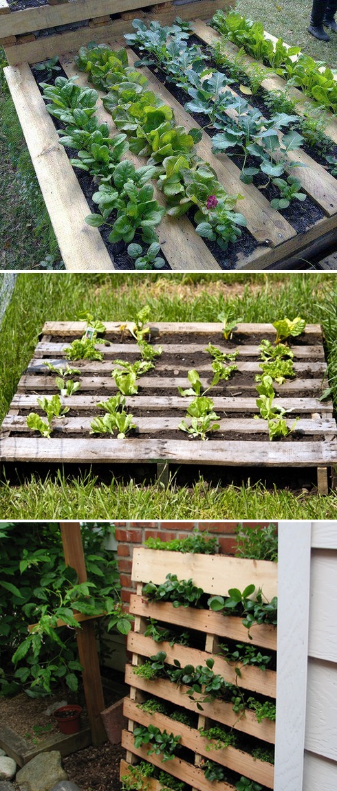 pallet garden bed using pallets beds gardening raised gardens fill plant grass bunch turning feel don weeding hate got diy