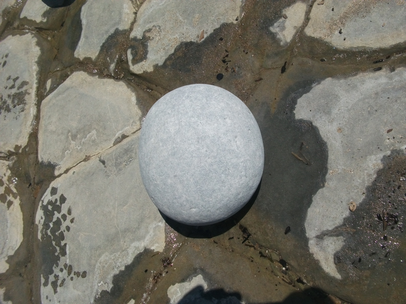 rock egg