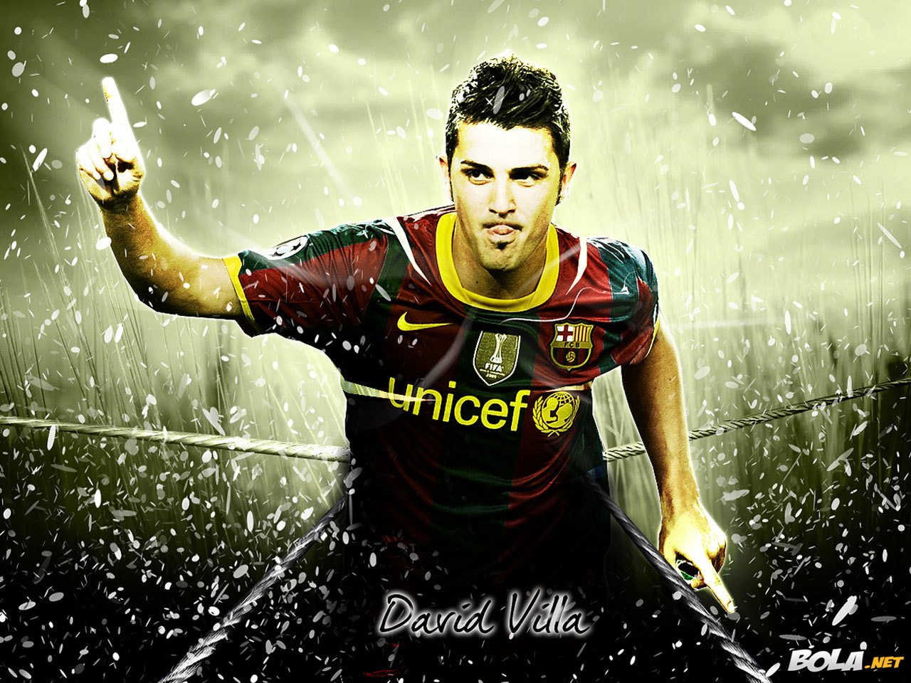 david villa fc barcelona david villa fc barcelona