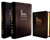 La Santa Biblia