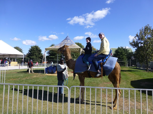 Camel ride. Goebbert's Farm. 