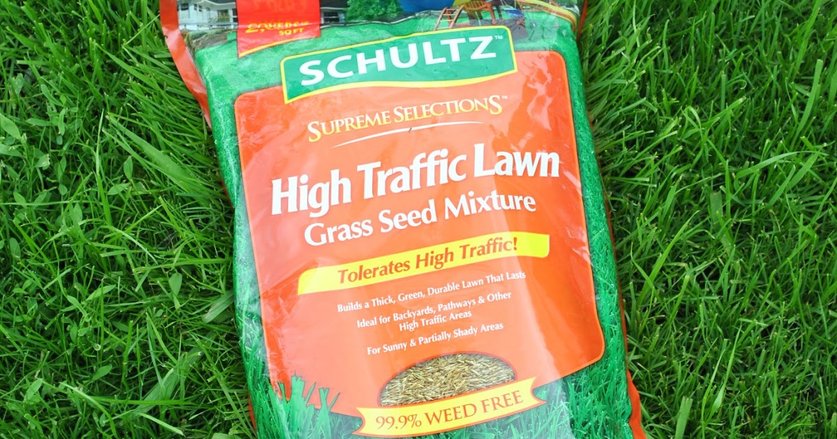 The Minnesota Garden Girl Best Grass Seed Ever!