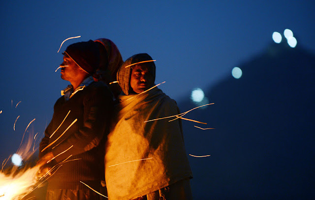 الهند: إحتفالات بوشكار لعام 2012 Pushkar+Camel+%281%29