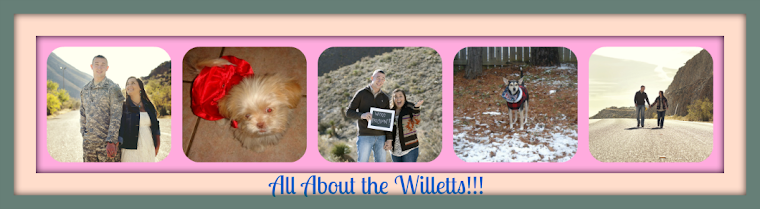 ~All About the Willett's~