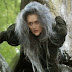 Caminhos da Floresta (Into the Woods, 2014.) Teaser trailer legendado. Fantasia com Johnny Depp, Meryl Streep, Emily Blunt e Chris Pine.