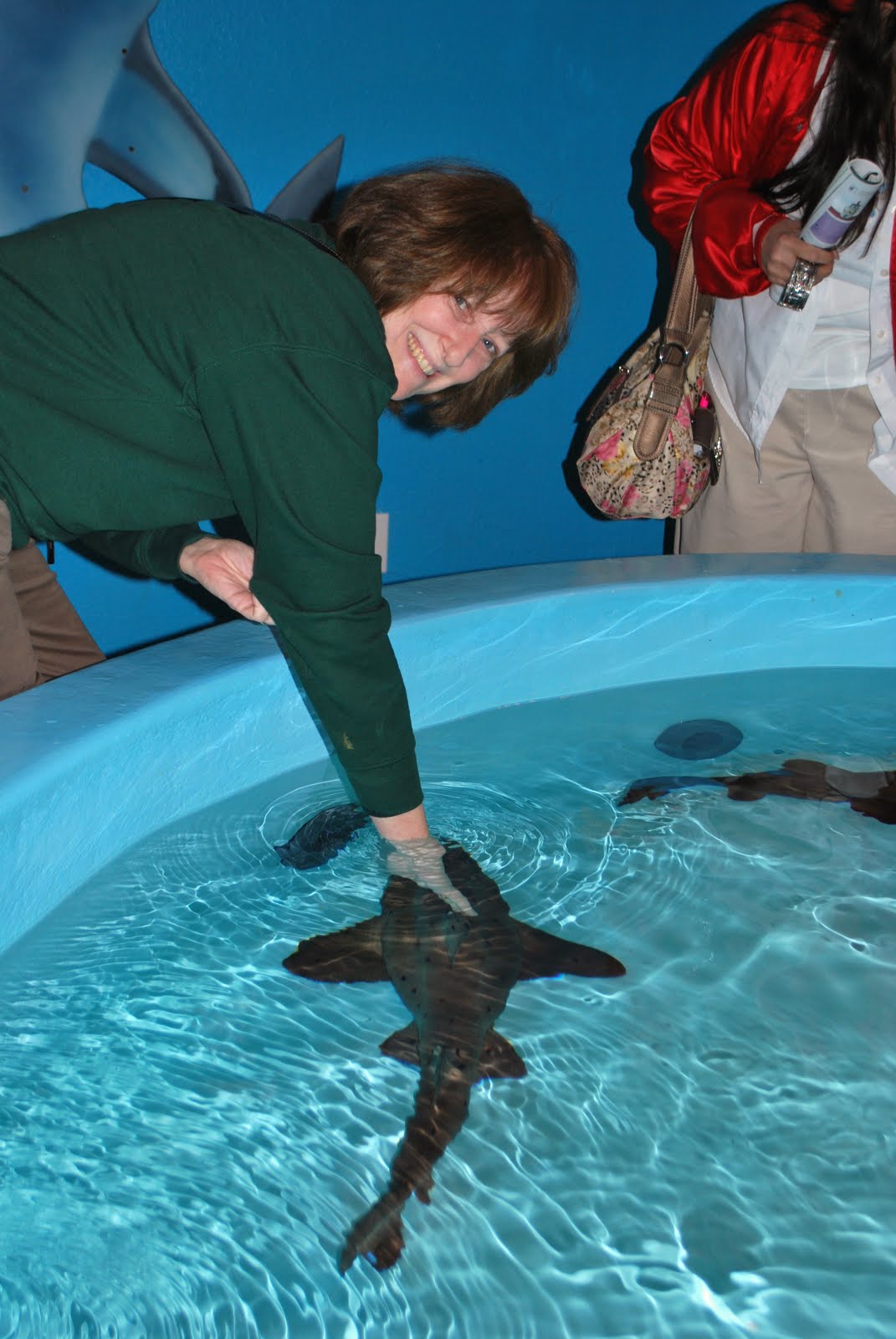 Baker Family Blog Crescent City Aquarium, Second Visit