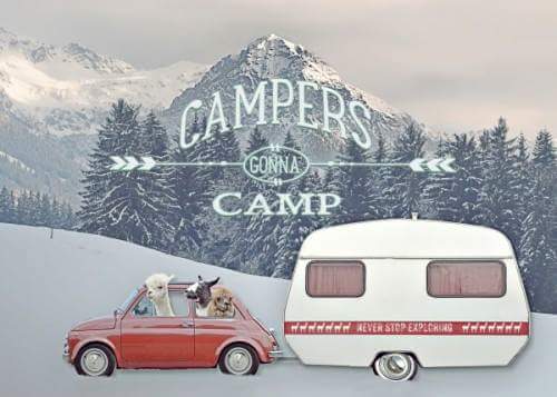 Campers Gonna Camp