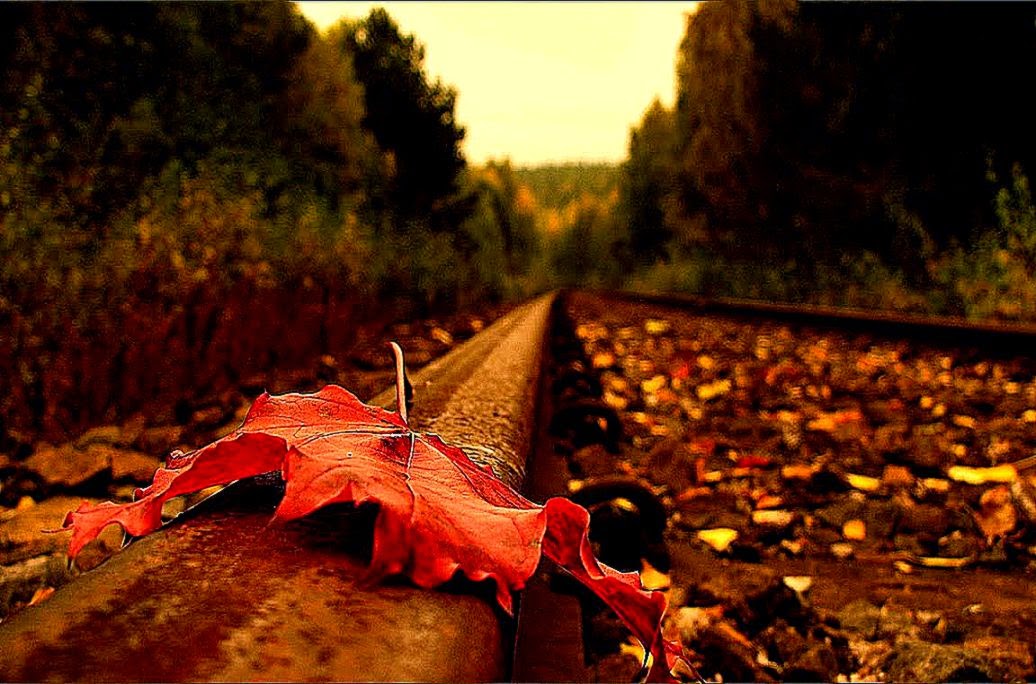 Hd Wallpaper Oqo Wallpaper Daily Hd Wallpaper Oqo Wallpaper Daily
