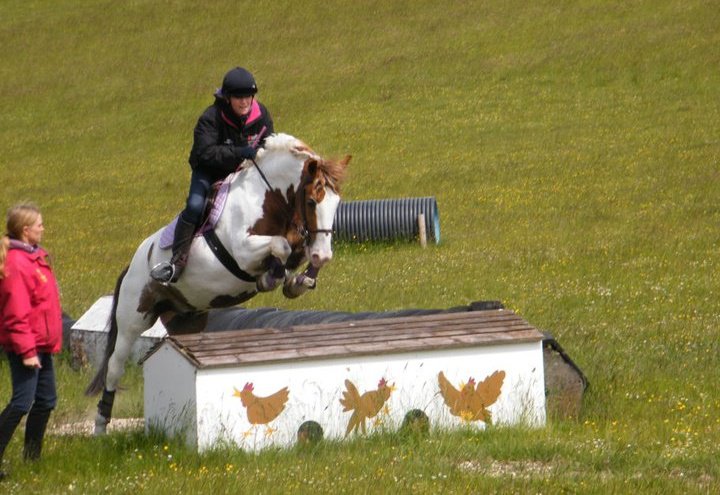 my hobby horse riding