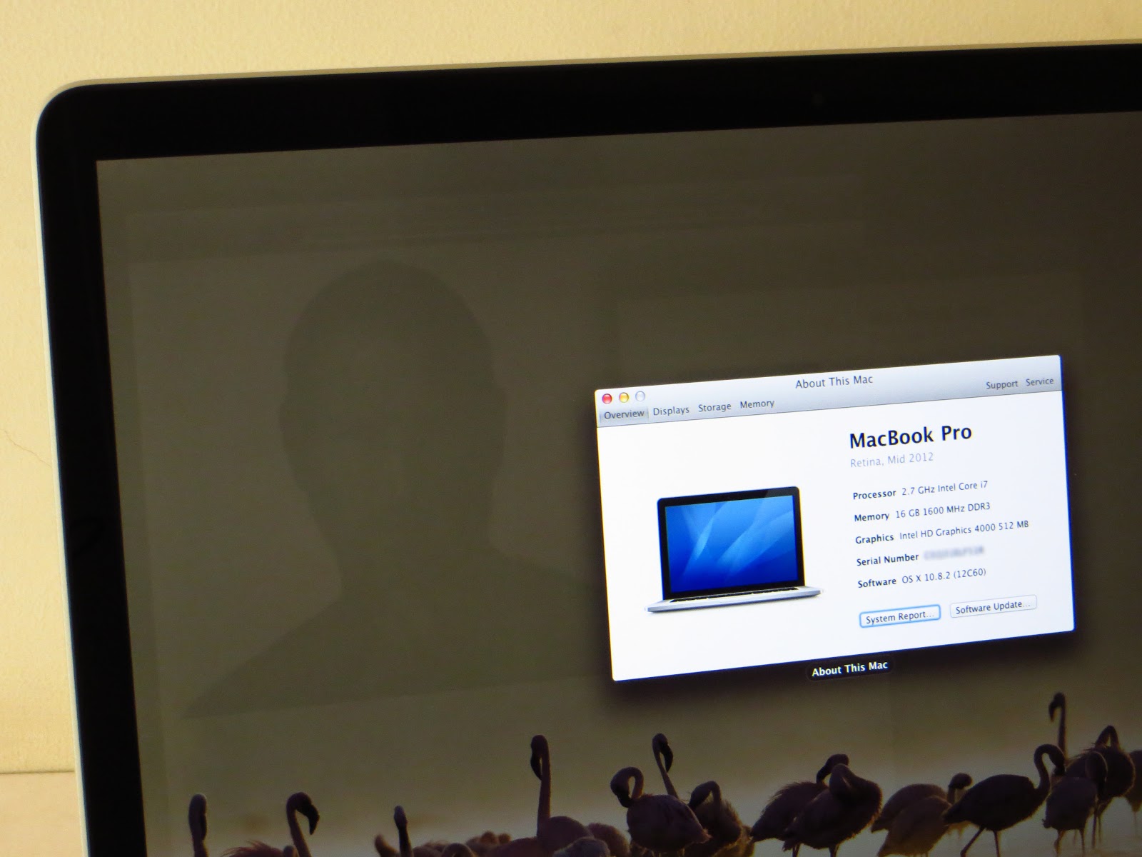 The Ghost of Steve Jobs Ghosting Defect in Macbook Pro's Retina Display