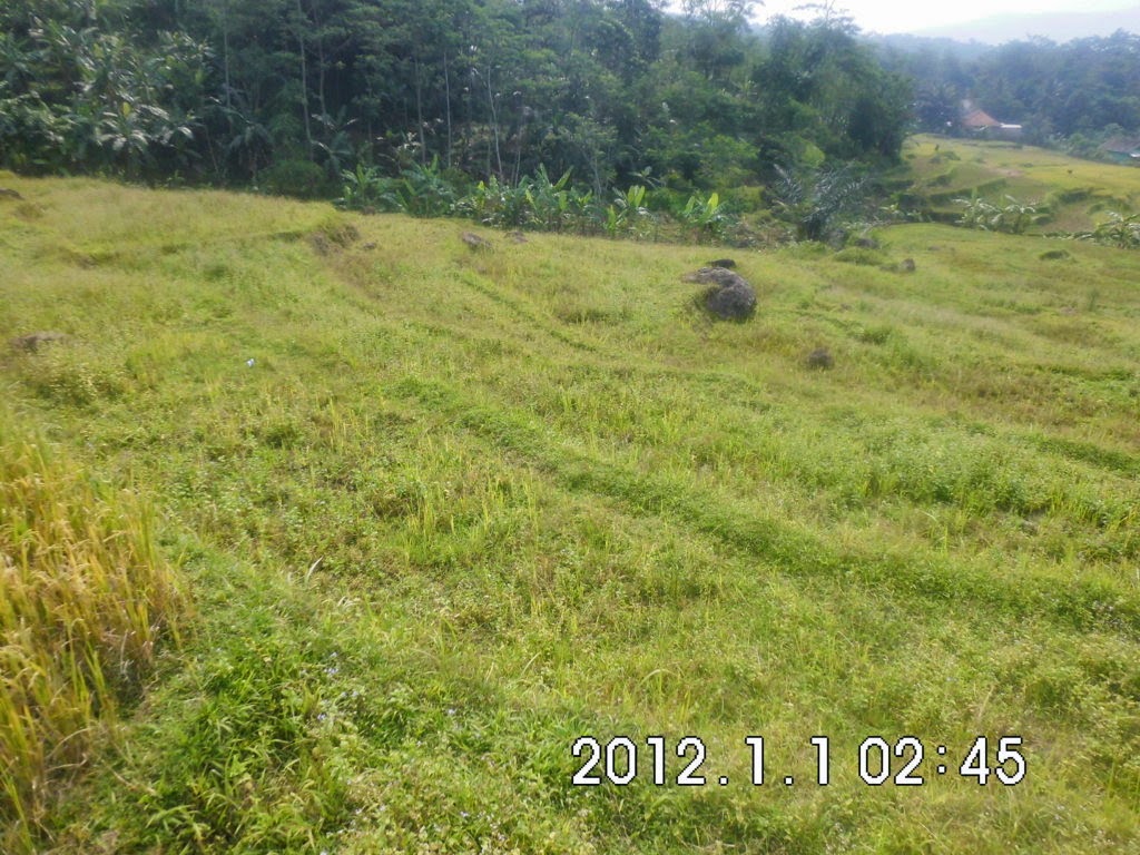 jual tanah di puncak 2 jonggol