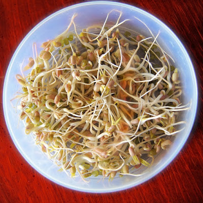Manfaat Tauge Manfaat Tauge