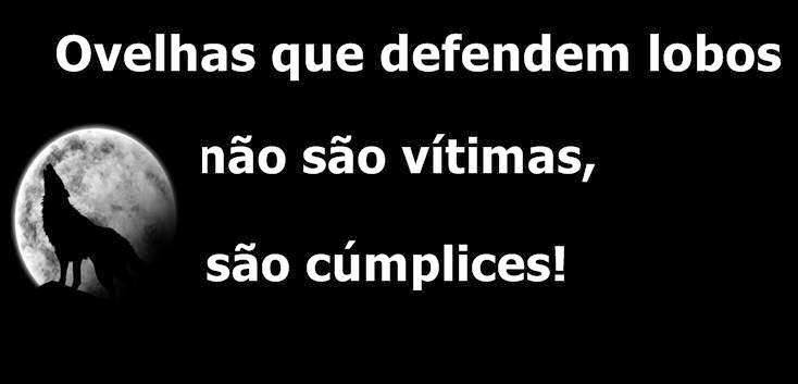 De ovelhas e lobos... e mais que disso...