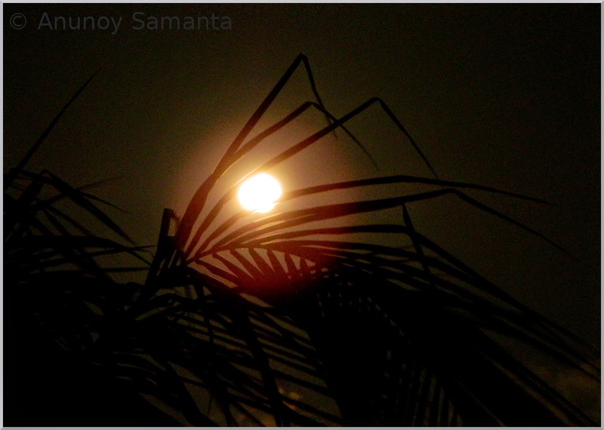 Full Moon of Sharad Purnima