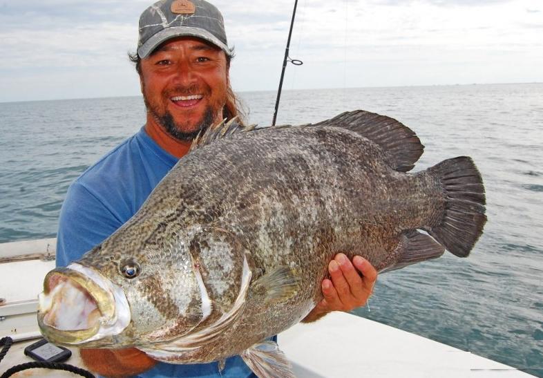 Big Fishes of the World TRIPLETAIL (Lobotes surinamensis)