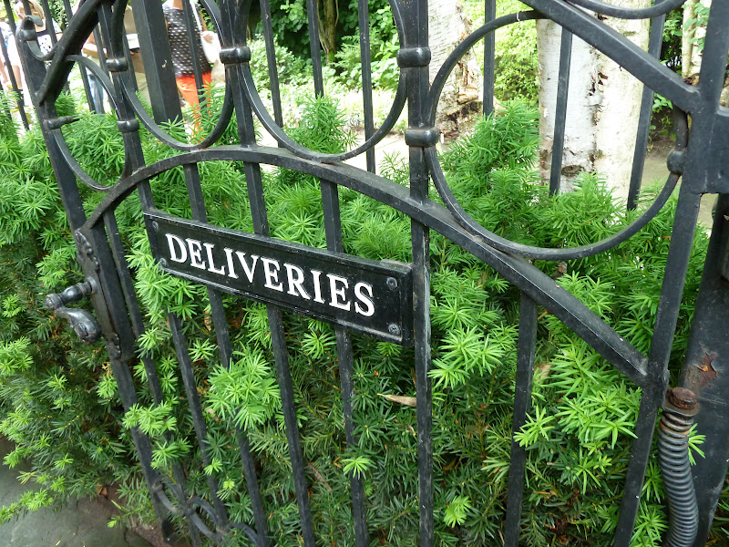 Barbara's Garden Chronicles Rosedale Garden Tour