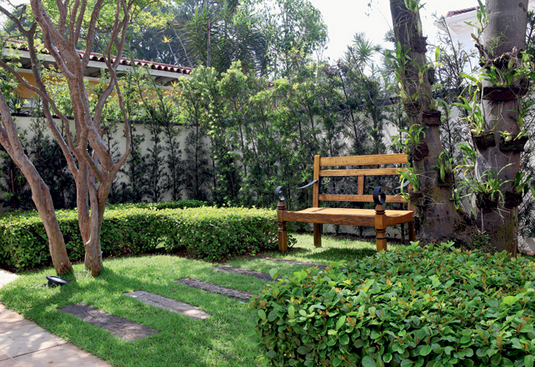 jardim quintal grande:Neste quintal, a jabuticabeira carregada de frutos, à direita, foi o jardim quintal grande:Neste quintal, a jabuticabeira carregada de frutos, à direita, foi o