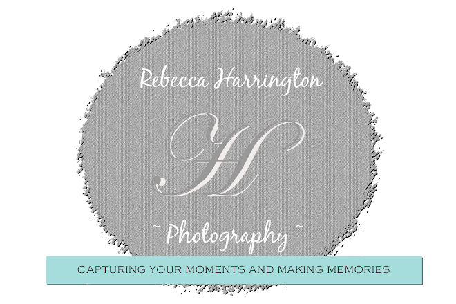 Rebecca Harrington Photography