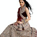 Classic Indian 2013 Bridal Lehnga Dresses Collection 