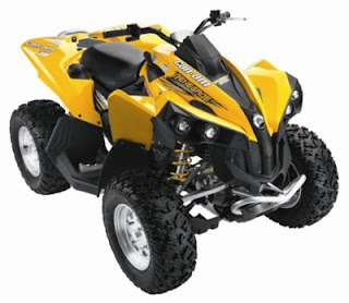 Cam an Renegade DS 90 and DS 70 Youth Sport ATV Renegade picture