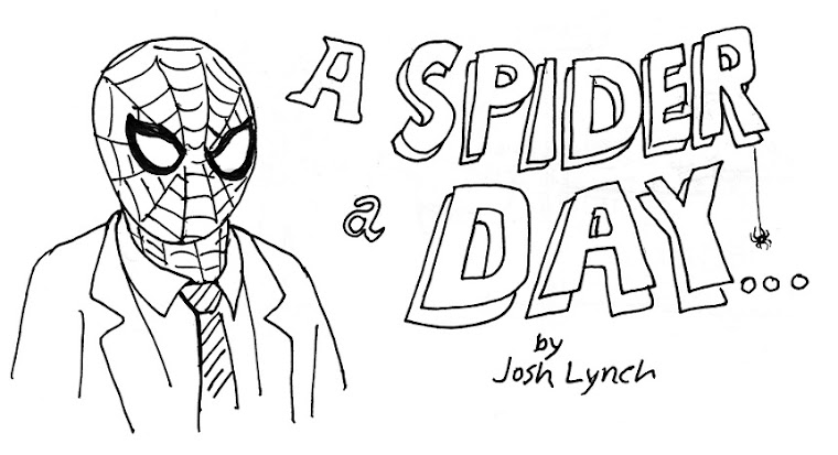 A Spider a Day