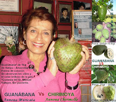 GUANABANA O GRAVIOLA VERSUS CHIRIMOYA