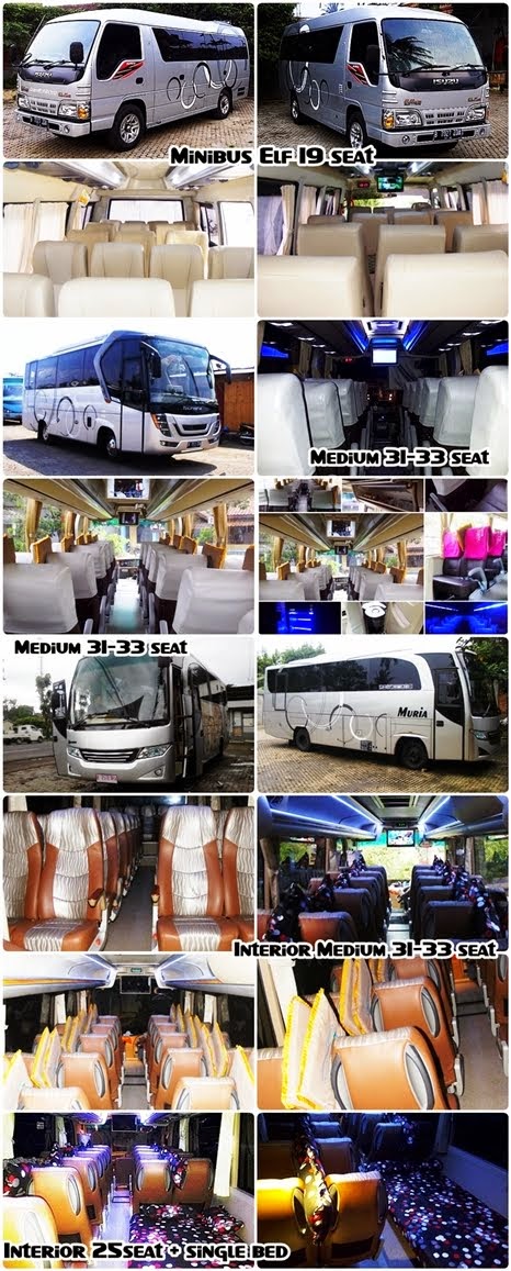 New !!! Bus Pariwisata Muria Minibus ELF : 15, 19 Seat -- Bus : 25seat + Bed Set, 29, 31, 33 Seat