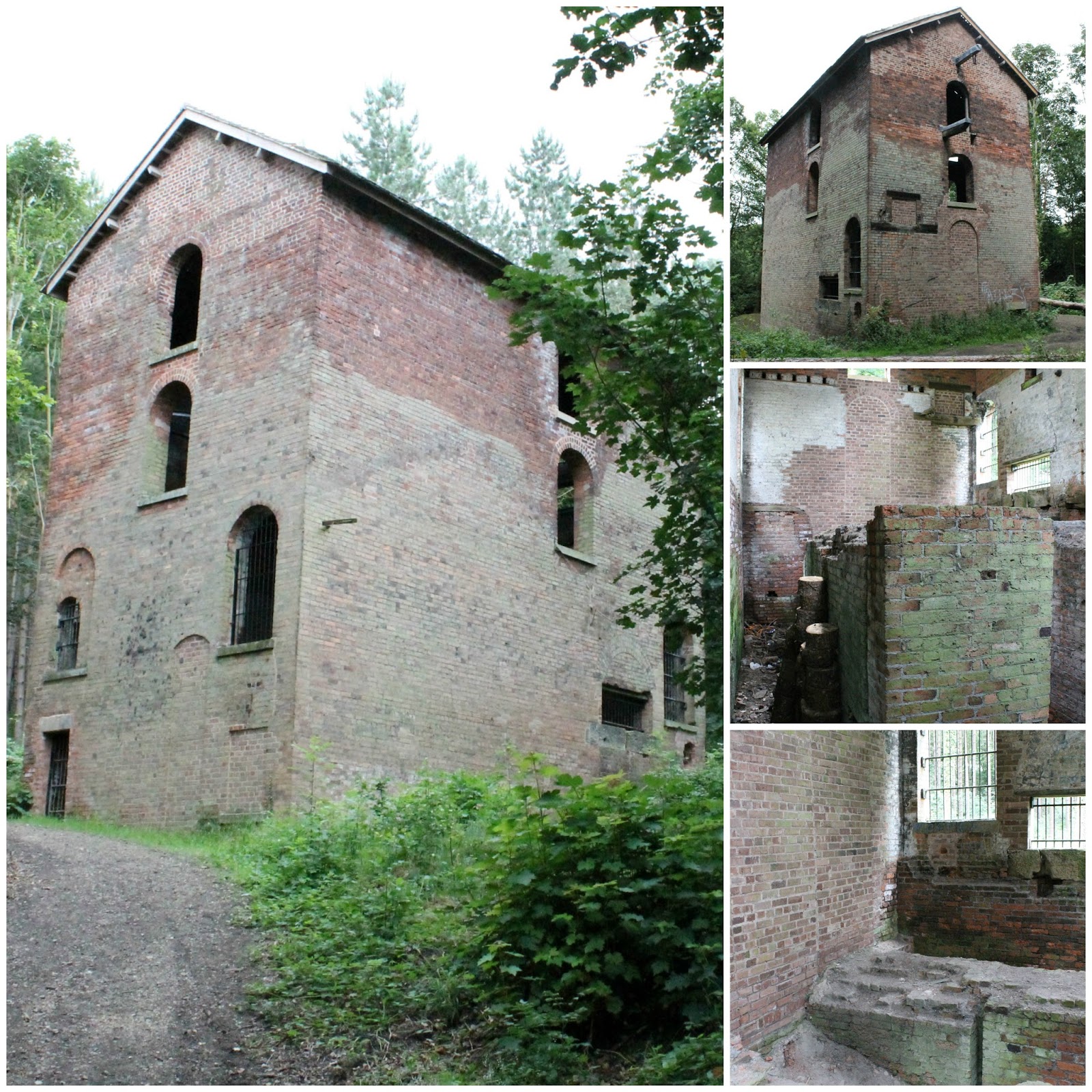 JibberJabberUK A Walk On The Wild Side In The Moss Valley