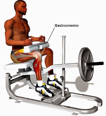 gimnasio gimnasio