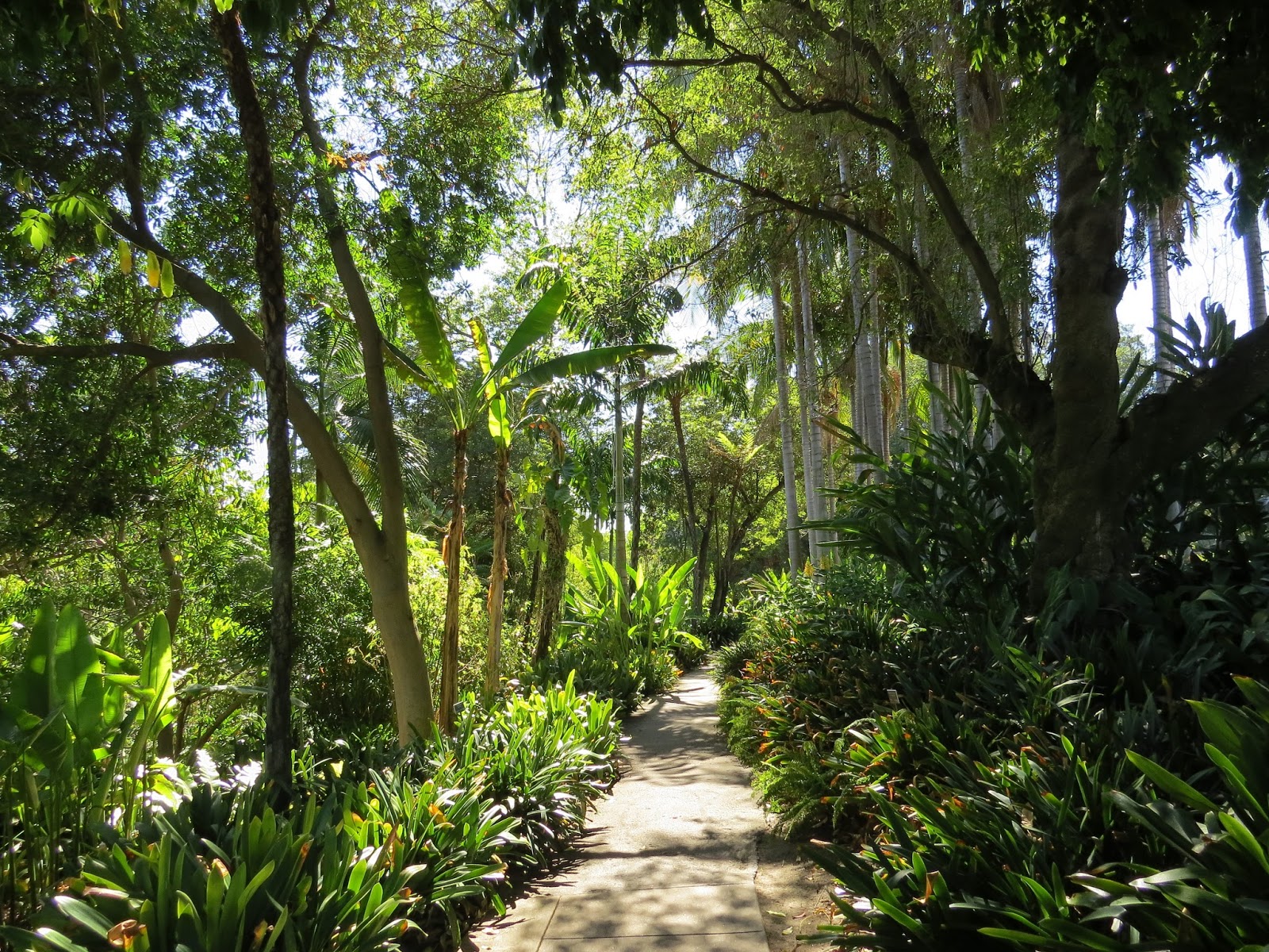 The Huntington Botanical Gardens Susan's in the Garden