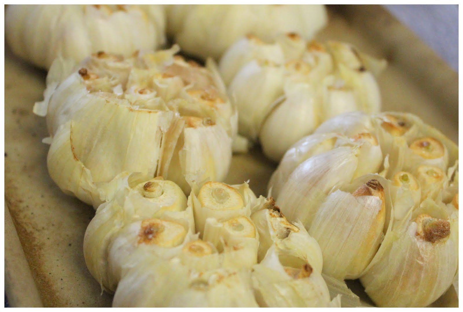 Homestead Roots Oven Roasted Garlic SO easy SO delicious!!