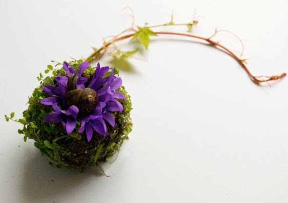 Camila Sitarama Carlow sculpture photography plants flowers arranged human body organs Eye Camila Sitarama Carlow sculpture photography plants flowers arranged human body organs Eye