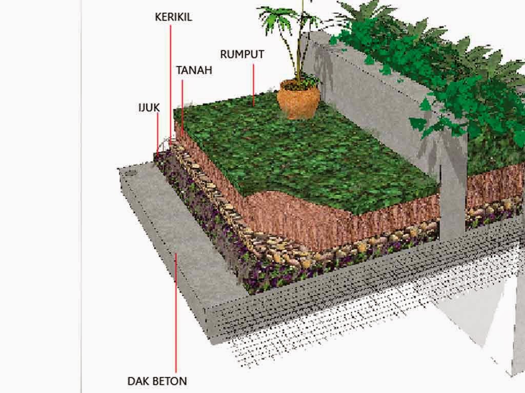 TAMAN DI ATAP RUMAH ROOF GARDEN TUKANG TAMAN ALAMANDA TAMAN DI ATAP RUMAH ROOF GARDEN TUKANG TAMAN ALAMANDA