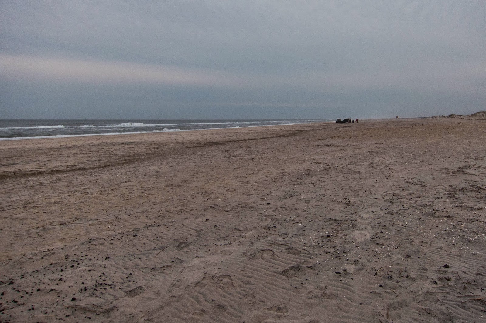 assateague island national seashore or state park assateague island national seashore or state park