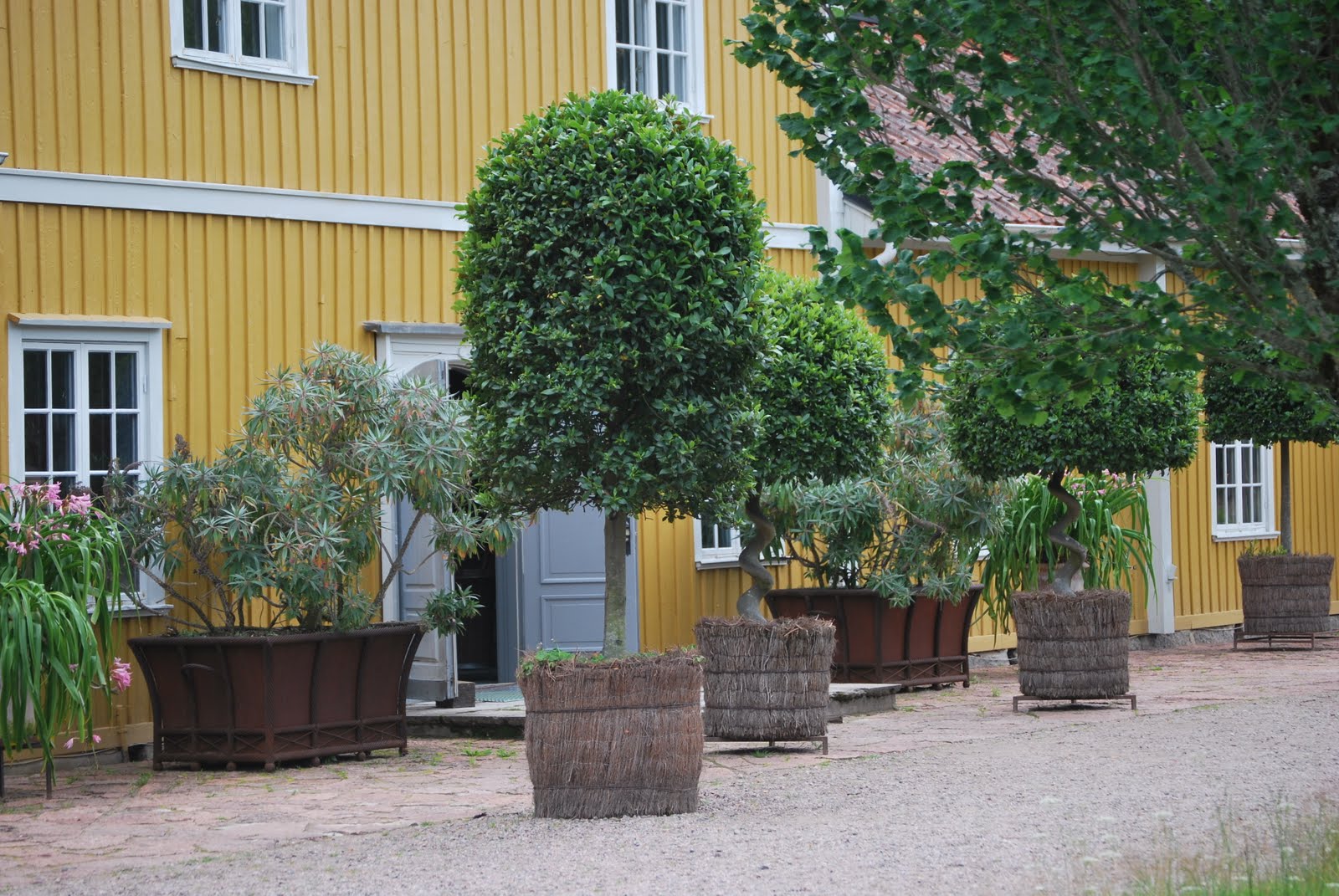 Petrahallberg: tage andersen