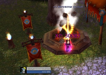 Wildlight hitting 85 by extinguishing a Horde bonfire (FOR THE ALLIANCE!)