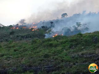 5 focos de incêndio simultâneos no Parque Nacional da Chapada Diamantina 5 focos de incêndio simultâneos no Parque Nacional da Chapada Diamantina