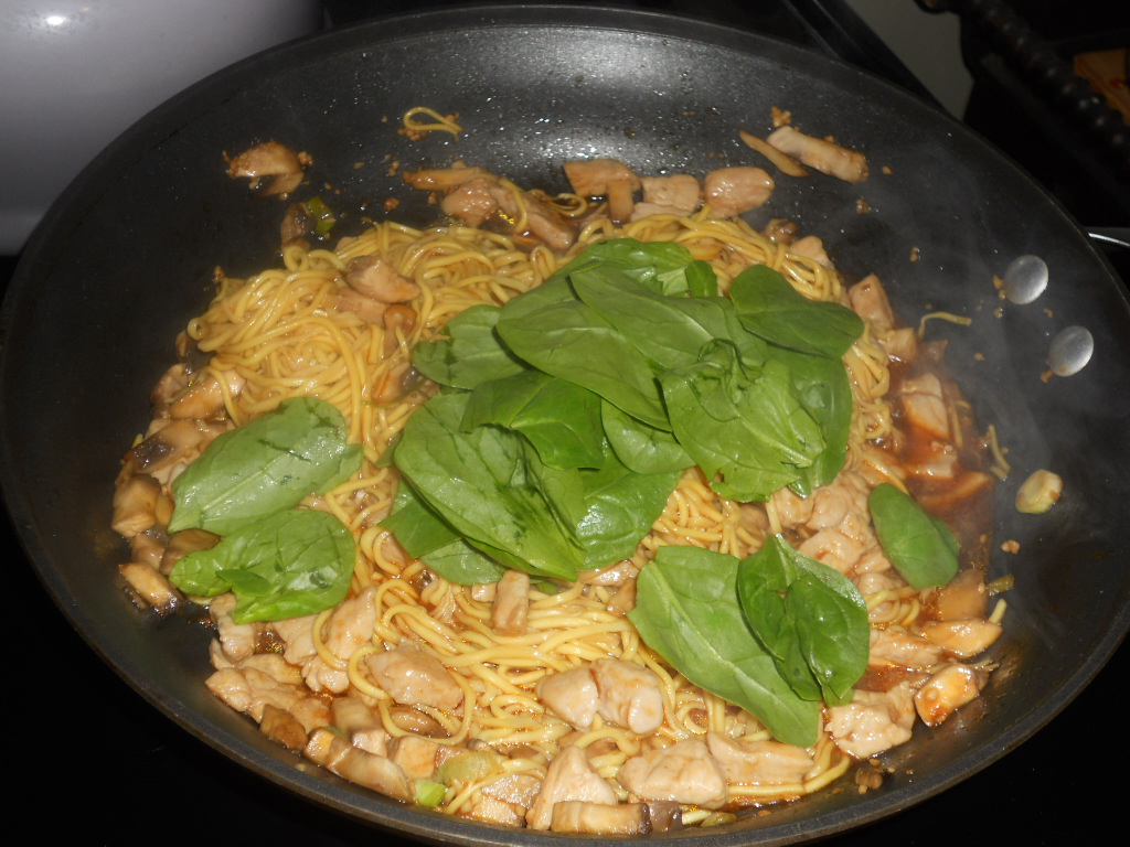 Stir-Fried Chinese Egg Noodles with Pork - Hezzi-D's Books and Cooks
