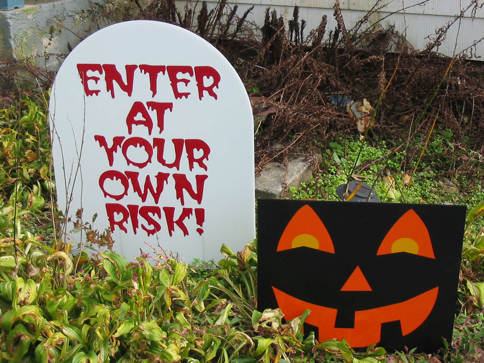 The Halloween Queen Reflective Light Up Halloween Signs