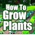 How To Grow Plants - Free Kindle Non-Fiction