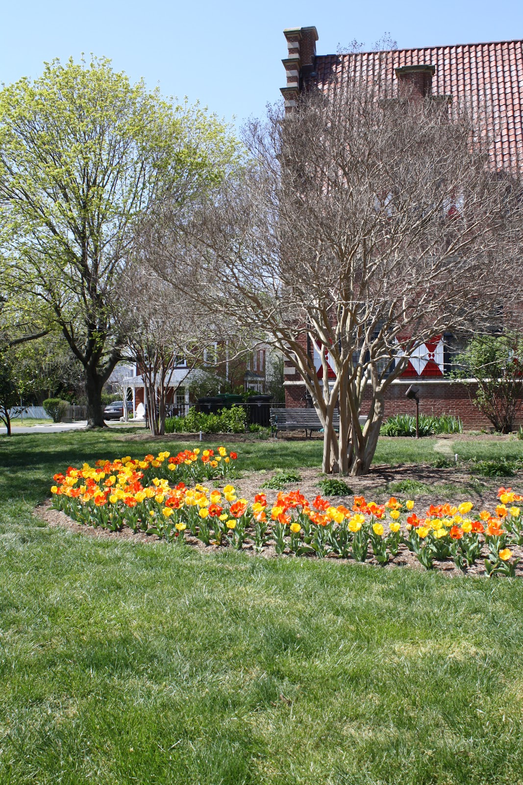 The Collected Life Tulip Festival precelebration, Lewes DE, Easter Sunday