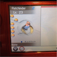 Fletchinder Fletchinder