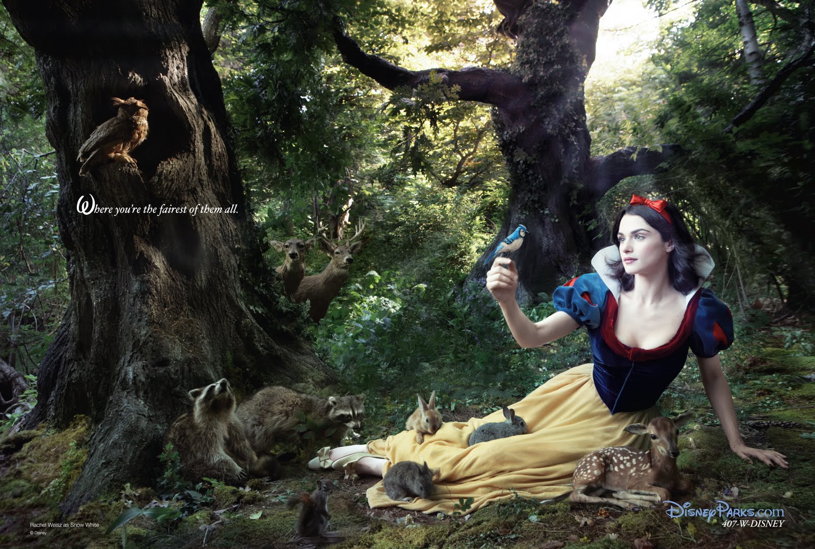 http://4.bp.blogspot.com/-NYVPSARDOjc/TgfUUJSTXII/AAAAAAAAEpw/Ecjl9Dk_TgA/s1600/disneyalive04_wallpaper.jpeg